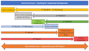 leadership development coaching