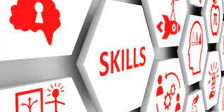 Mastering the Art of Developing a Diverse Skill Set