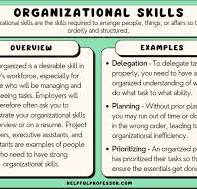 Practical Examples Demonstrating Organisational Skills