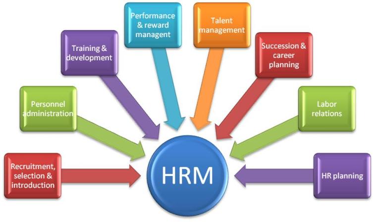 hr skills