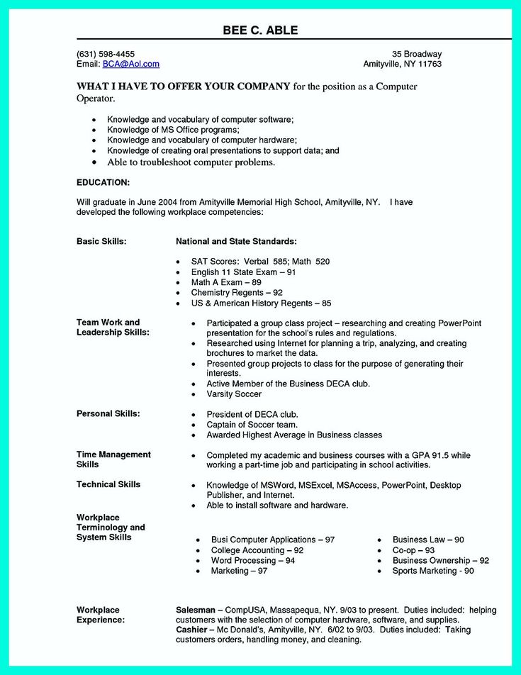 computer skills cv