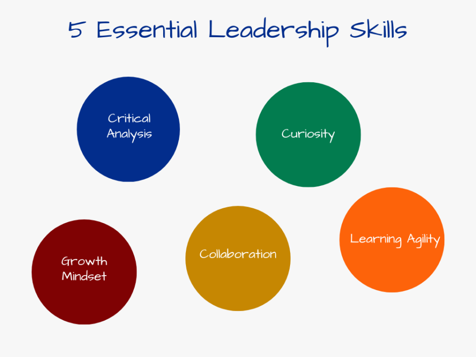 ceo skills
